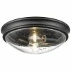 Millennium Lighting Black 2-Light Flush Mount Home