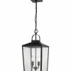Millennium Lighting Devens Black Outdoor 2-Light Pendant Home