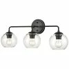 Millennium Lighting Black 3-Light Vanity Home