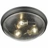 Millennium Lighting Black 3-Light Flush Mount Home