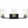 Millennium Lighting Burbank Black 3-Light Vanity Home