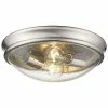 Millennium Lighting Nickel 2-Light Flush Mount Home