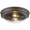 Millennium Lighting Bronze 2-Light Flush Mount Home