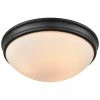 Millennium Lighting Black 3-Light Flush Mount Home
