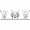 Millennium Lighting Brighton Nickel 3-Light Vanity Home