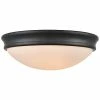 Millennium Lighting Black 2-Light Flush Mount Home