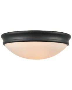 Millennium Lighting Black 2-Light Flush Mount Home