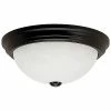 Millennium Lighting Black 3-Light Flush Mount Home