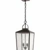 Millennium Lighting Devens Bronze Outdoor 2-Light Pendant Home
