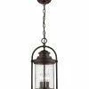 Millennium Lighting Livingston Black Outdoor 3-Light Pendant Home